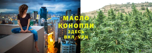 гидра Арсеньев