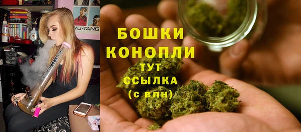 гидра Арсеньев