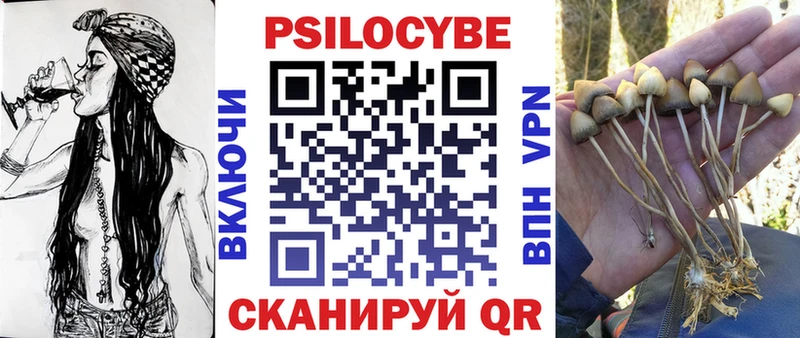 что такое   Калининец  Псилоцибиновые грибы MAGIC MUSHROOMS 